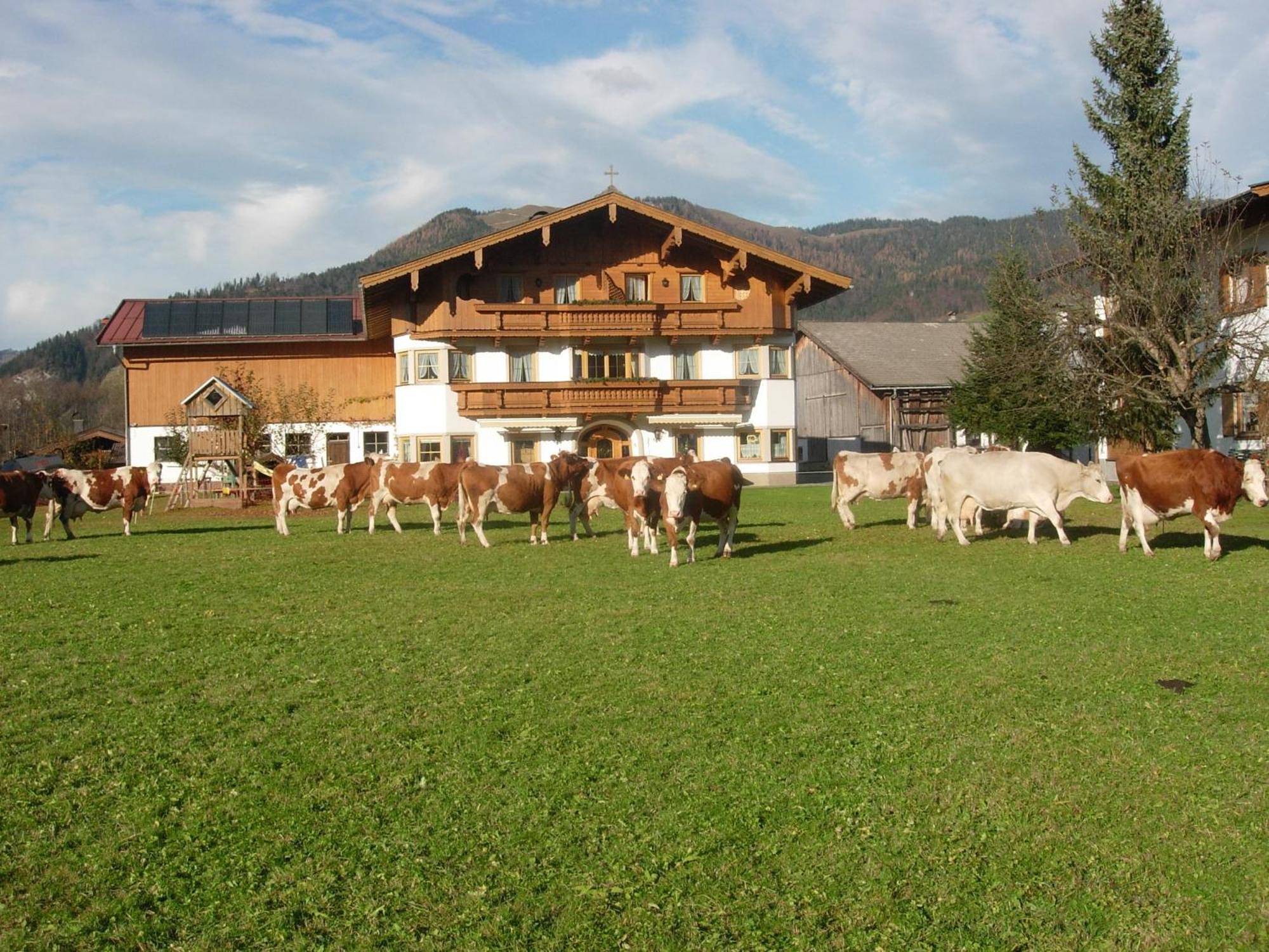 Huettschmiedhof Villa Kössen Rum bild